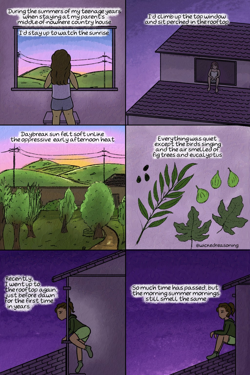 Summer sunrises