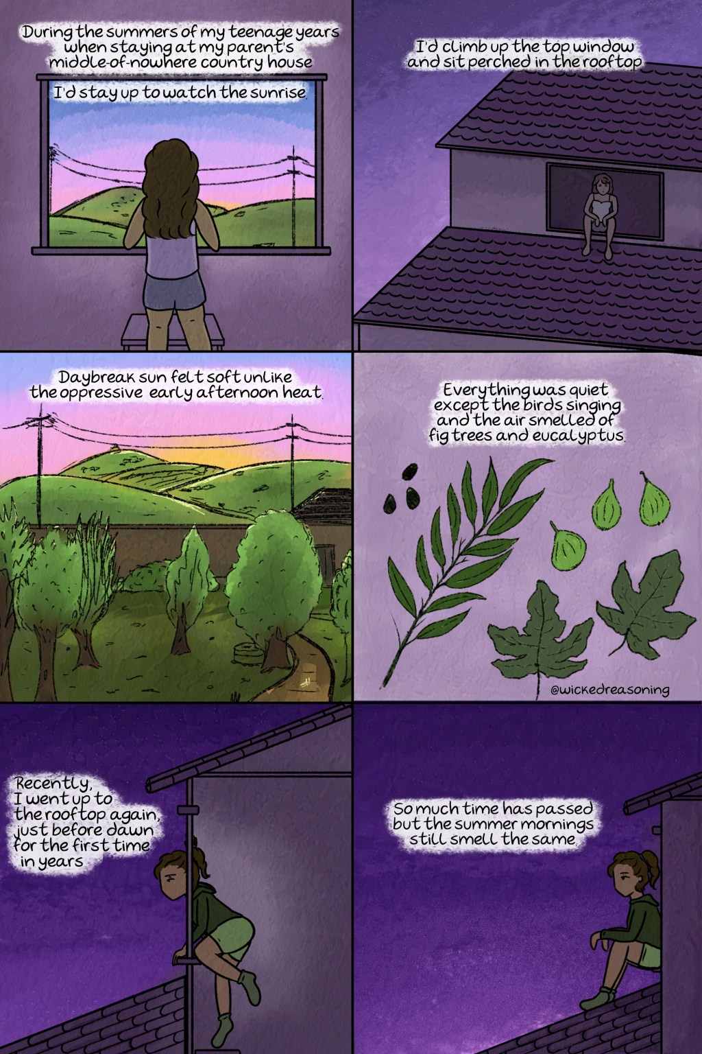 Summer sunrises